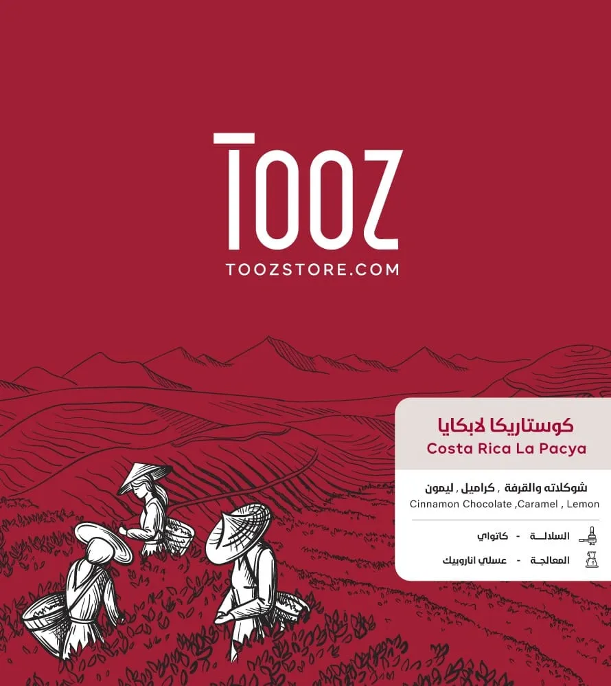 WhatsApp Image 2026-07-12 at 5.30.48 PM.webp