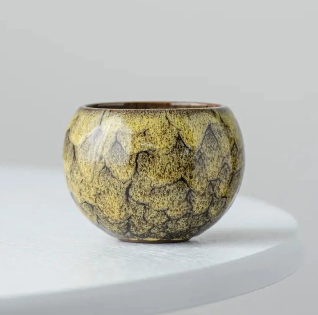 WhatsApp Image 2026-01-15 at 9.06.13 PM (2).webp