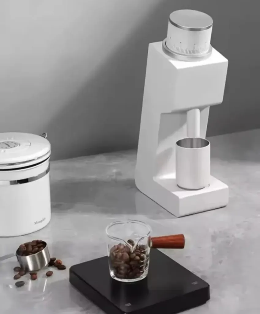 WhatsApp Image 2026-01-01 at 10.15.10 PM (1).webp