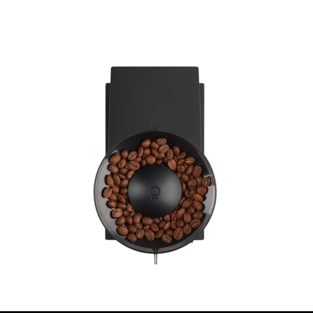 WhatsApp Image 2026-02-10 at 11.28.52 PM (1).webp