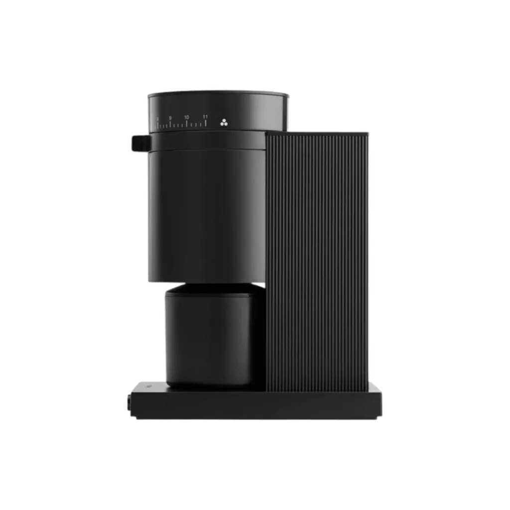 WhatsApp Image 2026-02-10 at 11.28.52 PM (2).webp