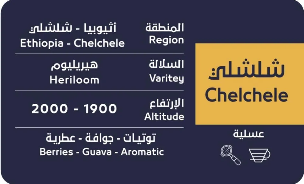 WhatsApp Image 2026-02-11 at 4.54.07 PM.webp