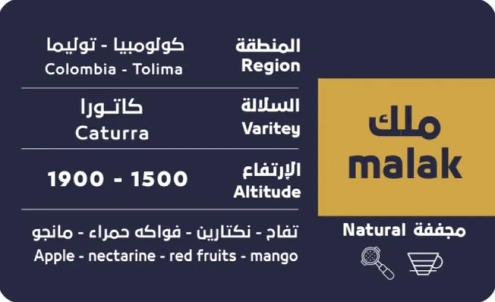 WhatsApp Image 2026-02-11 at 4.57.26 PM.webp