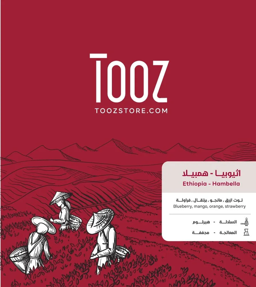 WhatsApp Image 2026-02-11 at 6.33.02 PM.webp