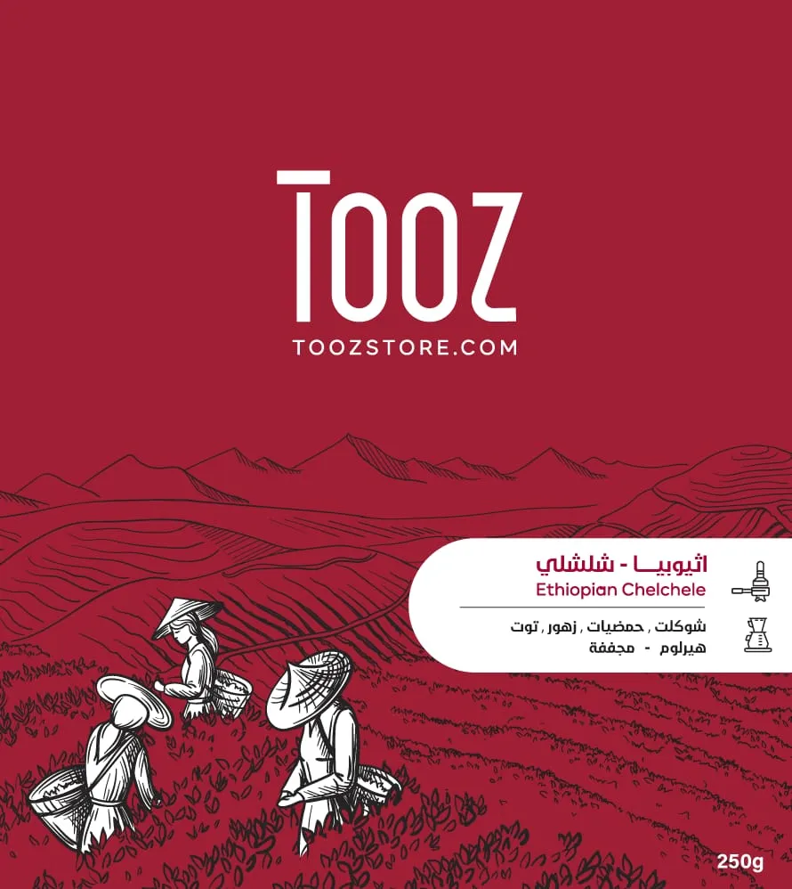 WhatsApp Image 2026-02-11 at 6.36.09 PM (1).webp