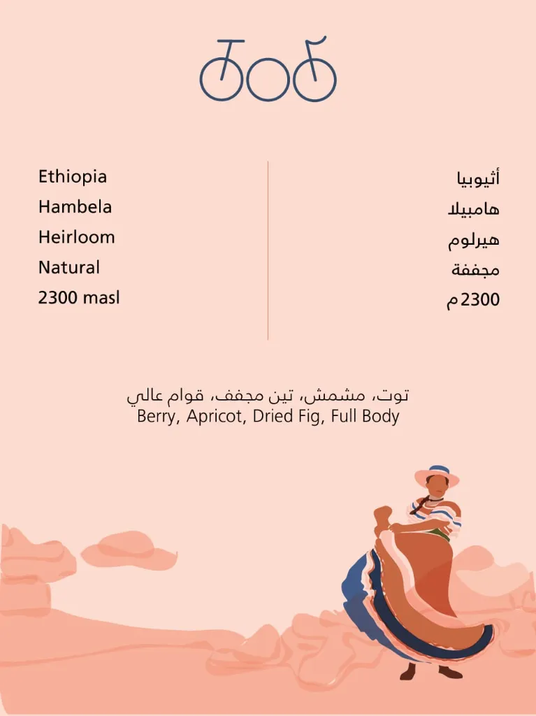 WhatsApp Image 2026-02-11 at 6.09.09 PM.webp