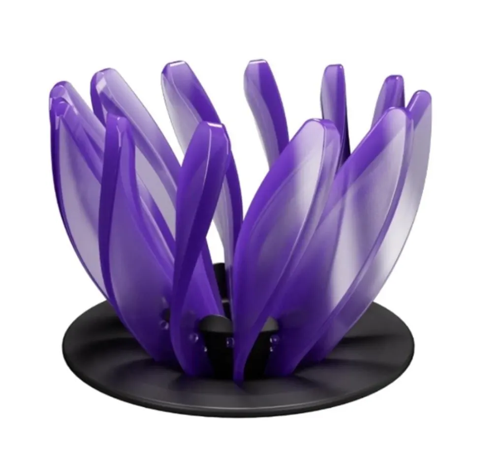 WhatsApp Image 2026-02-17 at 12.46.53 AM.webp