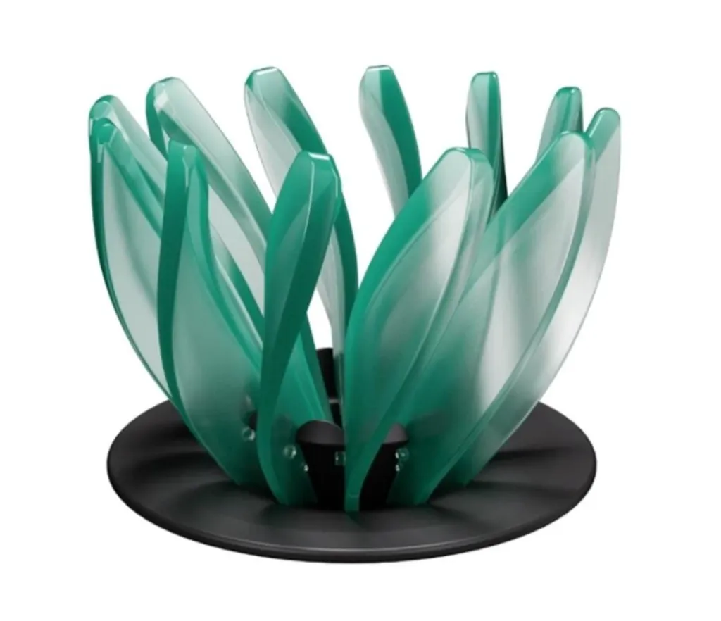 WhatsApp Image 2026-02-17 at 12.46.54 AM (1).webp