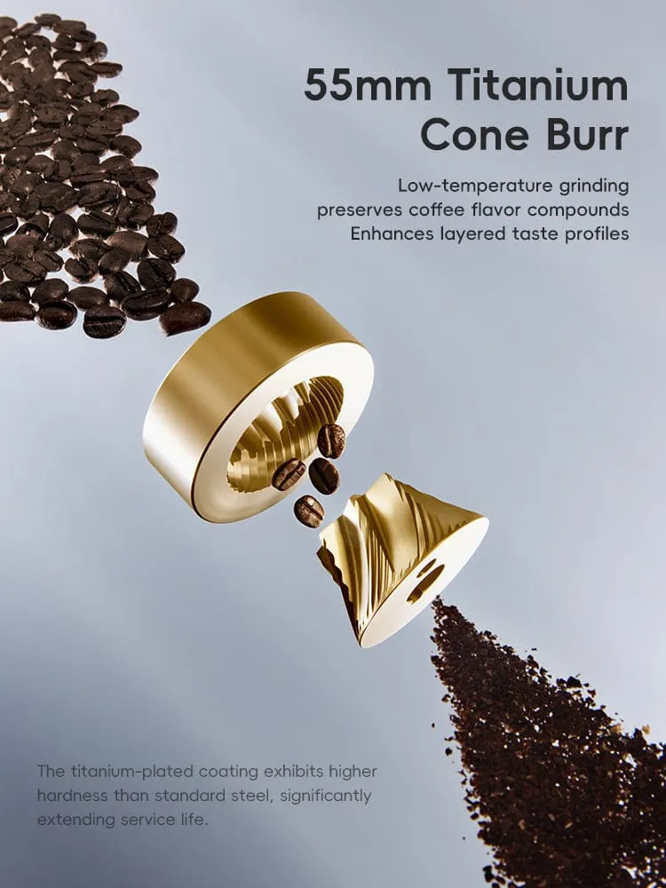 WhatsApp Image 2026-03-05 at 10.34.54 PM (1).webp