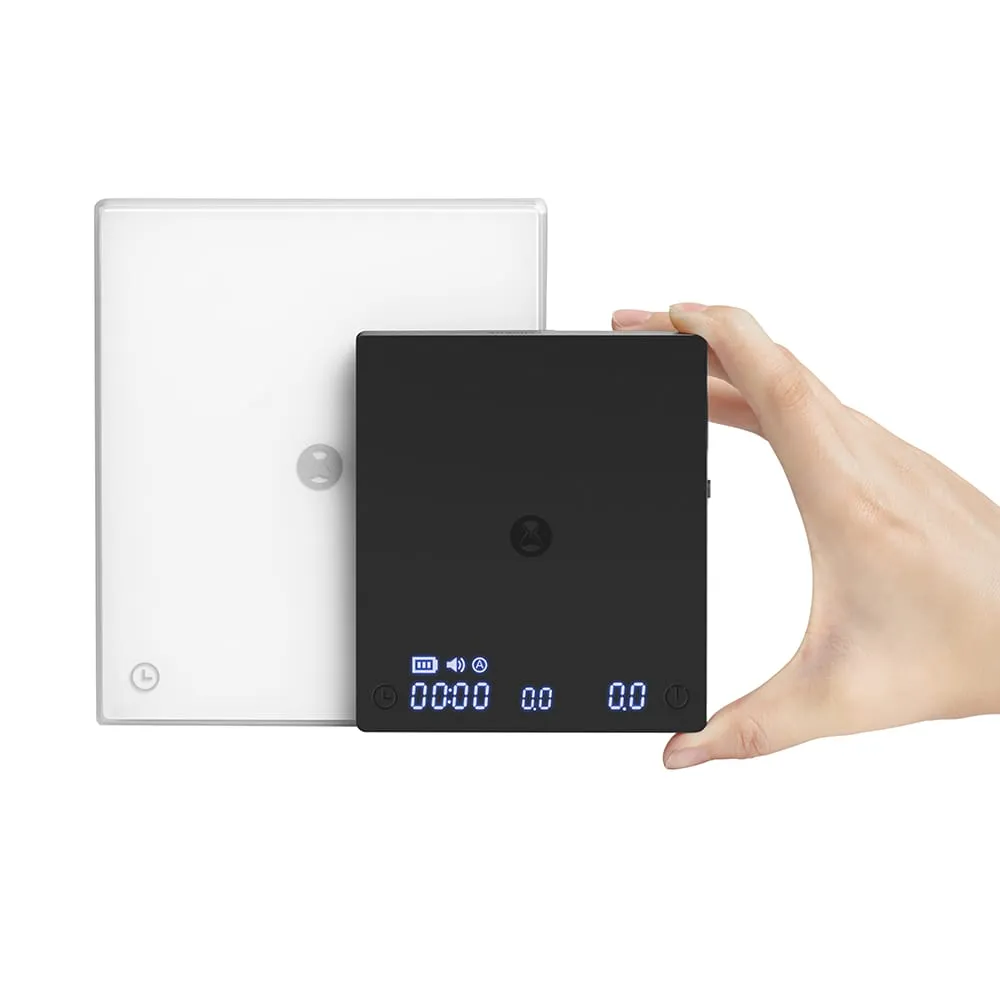 WhatsApp Image 2026-03-05 at 11.24.01 PM (1).webp