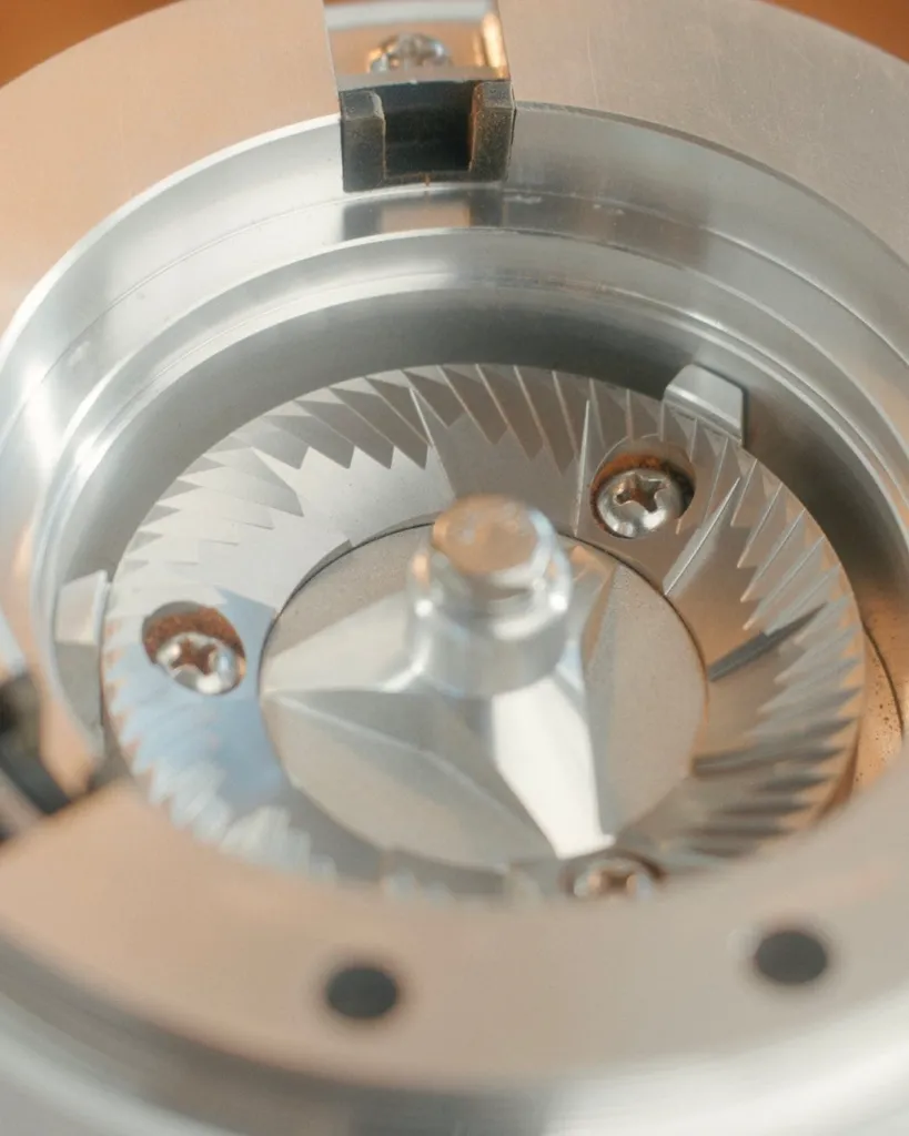 WhatsApp Image 2026-04-01 at 7.53.20 PM (1).webp