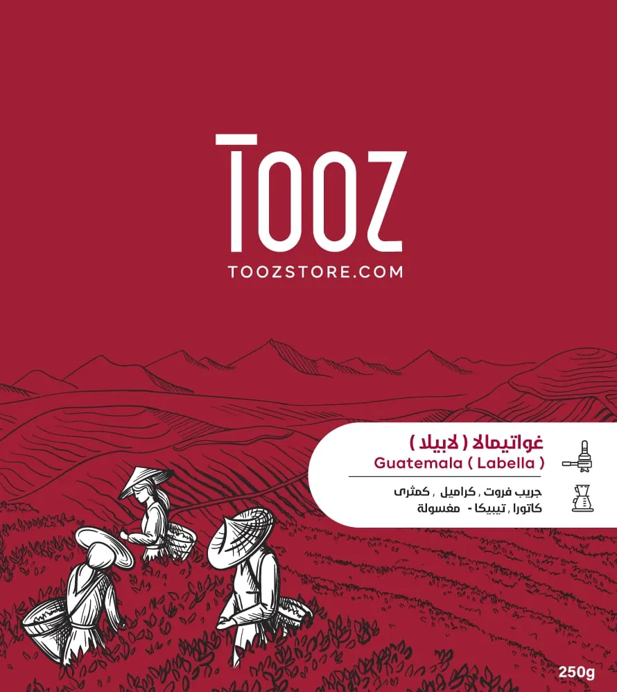 WhatsApp Image 2026-04-02 at 1.21.21 AM.webp