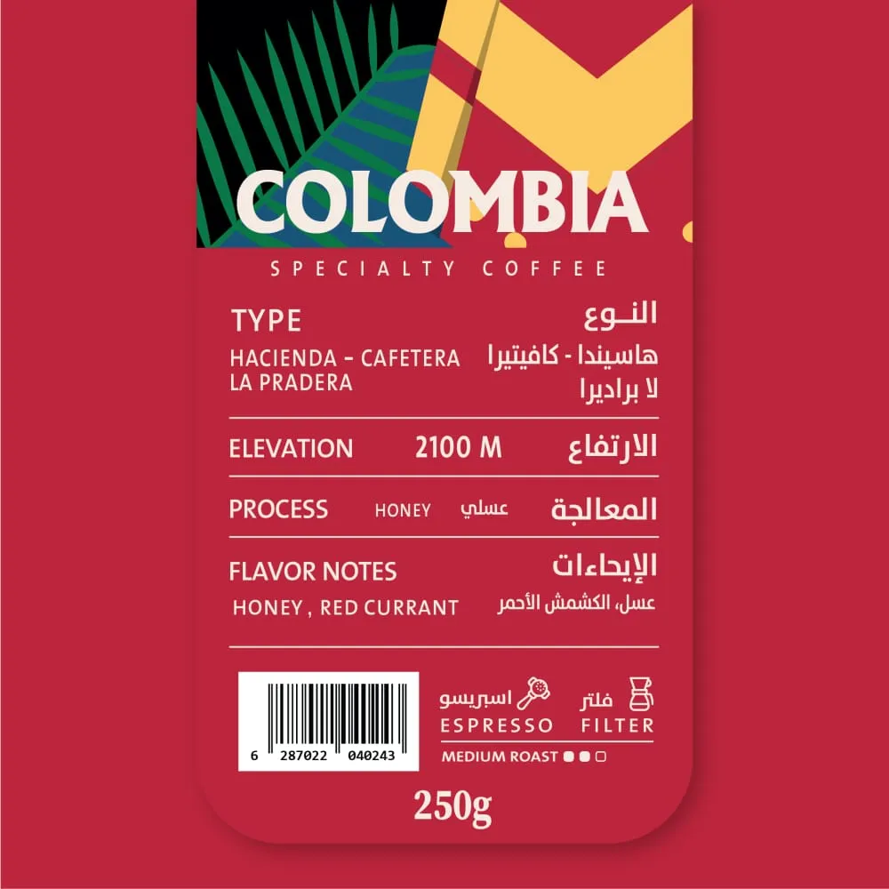 WhatsApp Image 2026-04-02 at 1.36.38 AM.webp