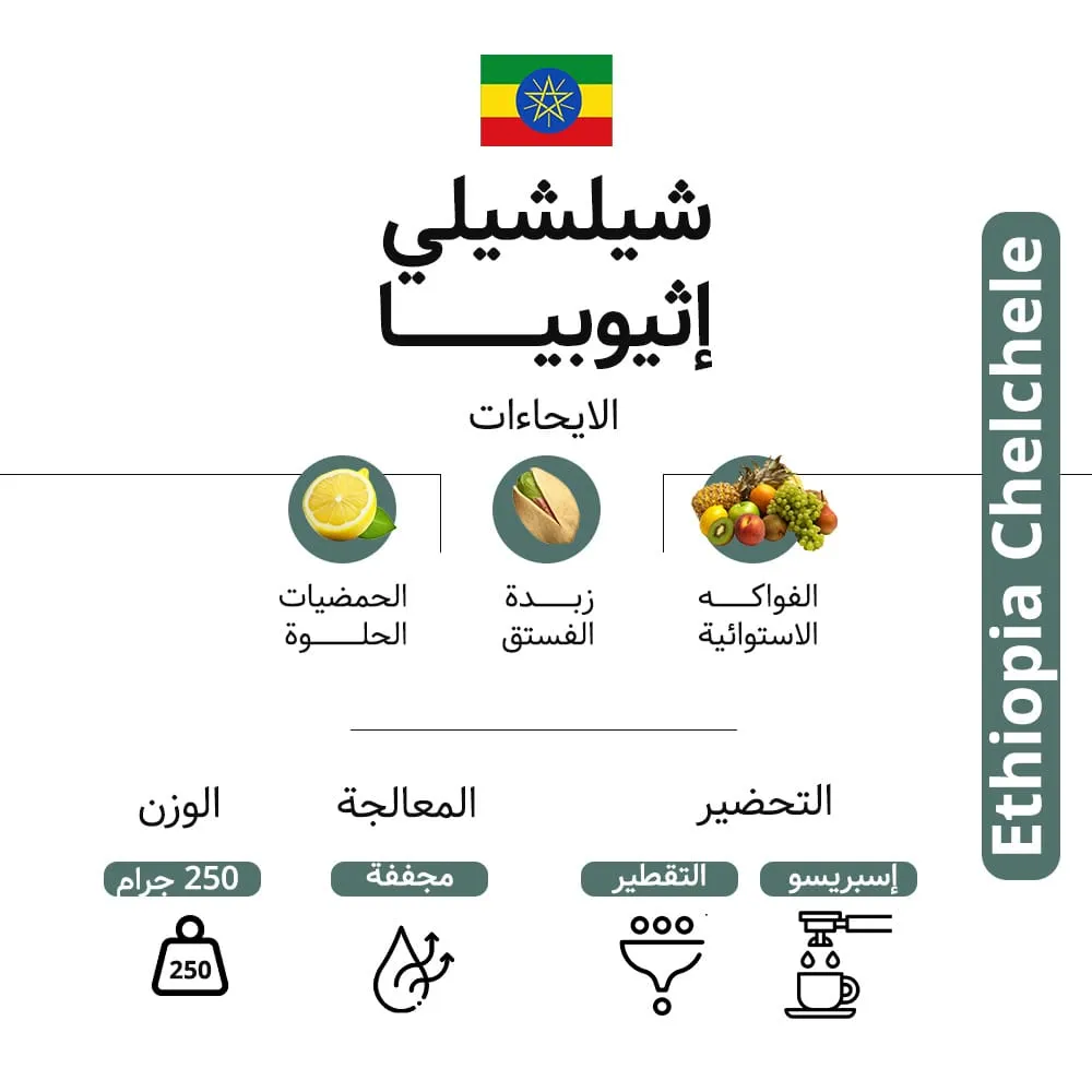 WhatsApp Image 2026-04-02 at 1.45.02 AM.webp