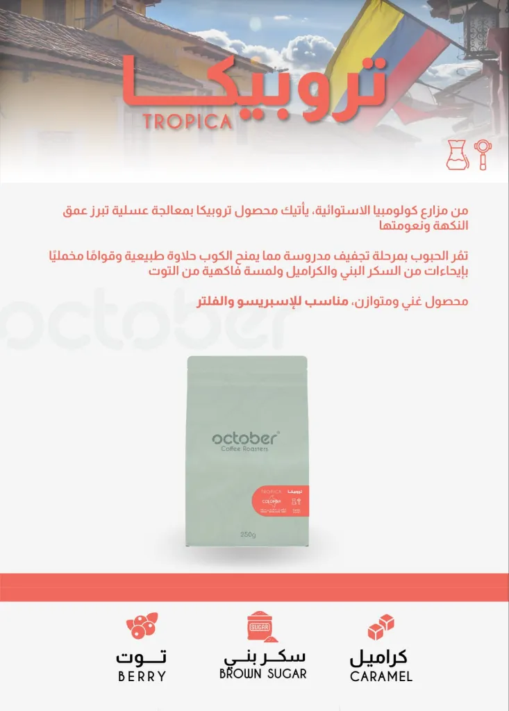 WhatsApp Image 2026-04-02 at 2.07.55 AM.webp