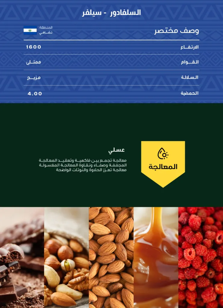 WhatsApp Image 2026-04-02 at 2.45.59 AM.webp