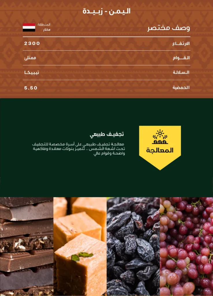 WhatsApp Image 2026-04-02 at 2.53.07 AM.webp