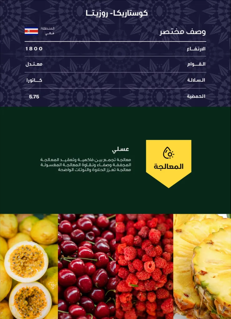 WhatsApp Image 2026-04-02 at 2.57.08 AM.webp