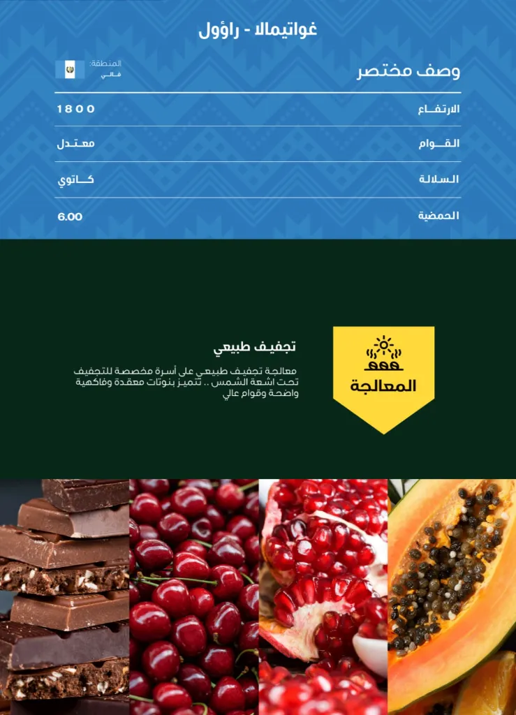 WhatsApp Image 2026-04-02 at 3.00.53 AM.webp