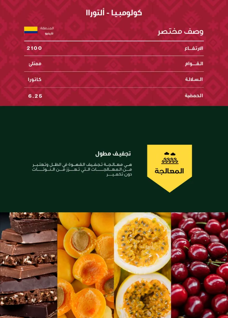 WhatsApp Image 2026-04-02 at 3.03.12 AM.webp