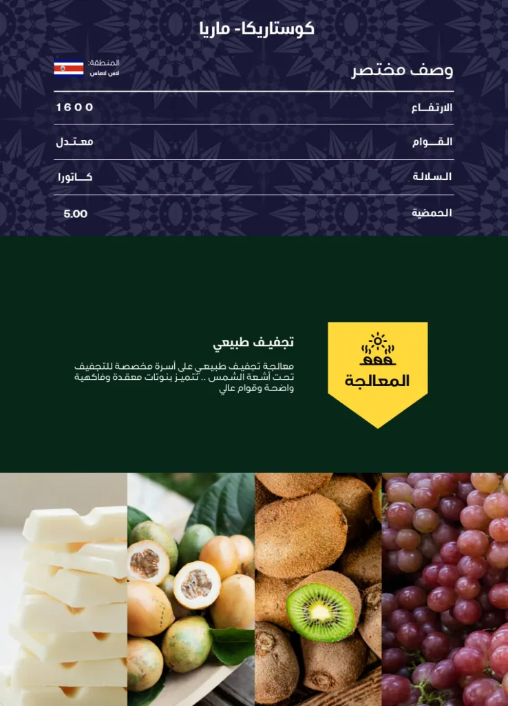 WhatsApp Image 2026-04-02 at 3.06.24 AM (1).webp