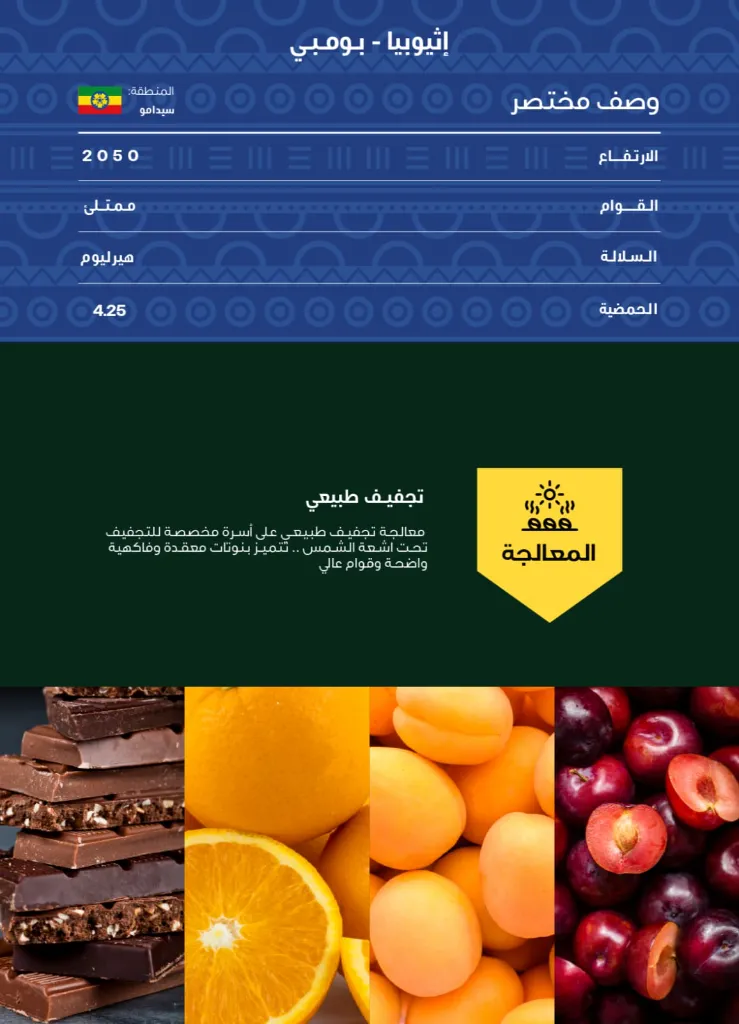 WhatsApp Image 2026-04-02 at 3.07.39 AM.webp