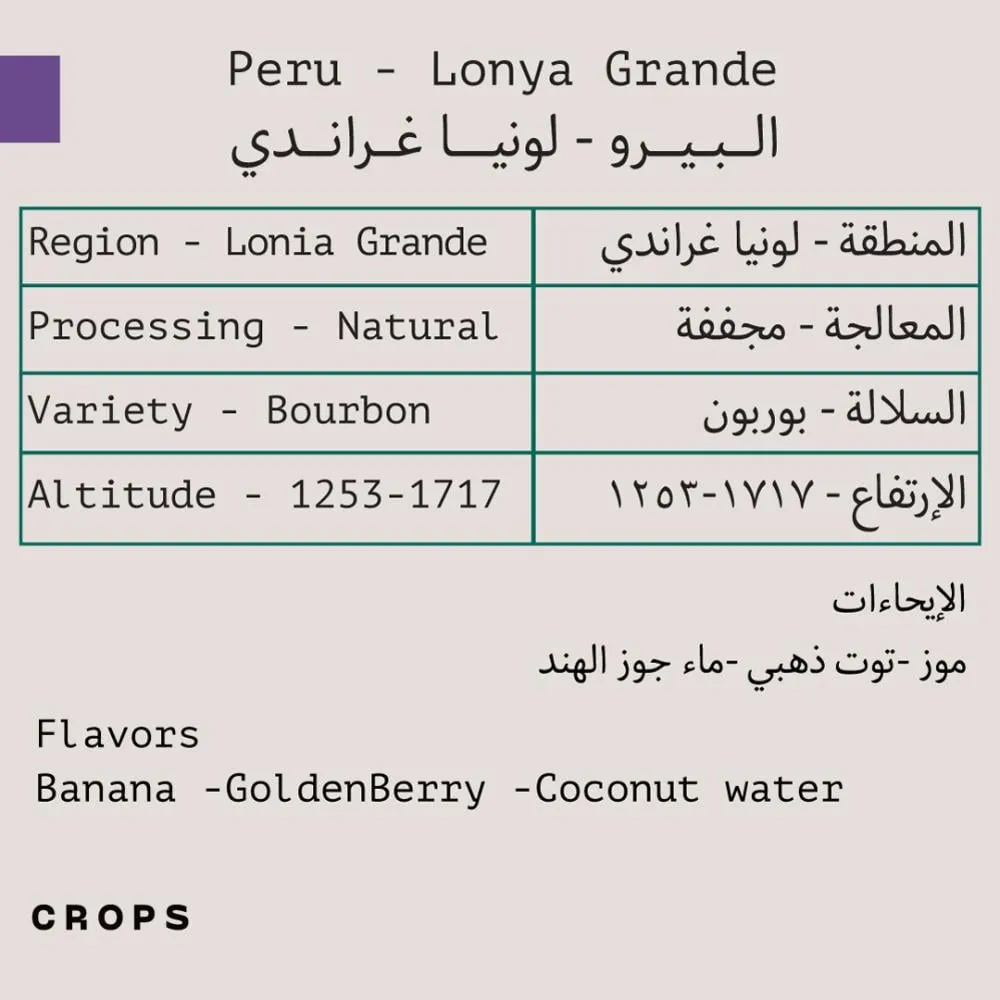 WhatsApp Image 2026-04-02 at 3.51.34 AM (1).webp