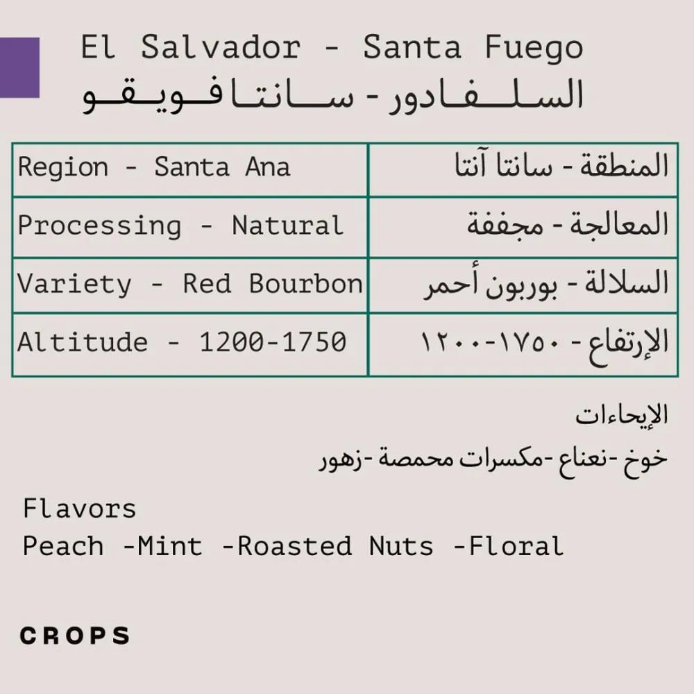 WhatsApp Image 2026-04-02 at 3.55.29 AM.webp