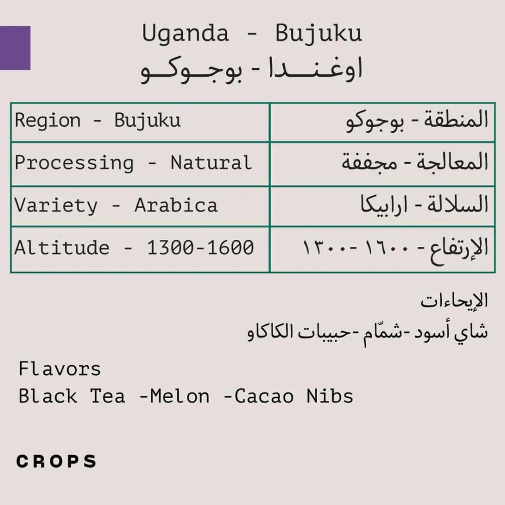 WhatsApp Image 2026-04-02 at 3.57.53 AM.webp