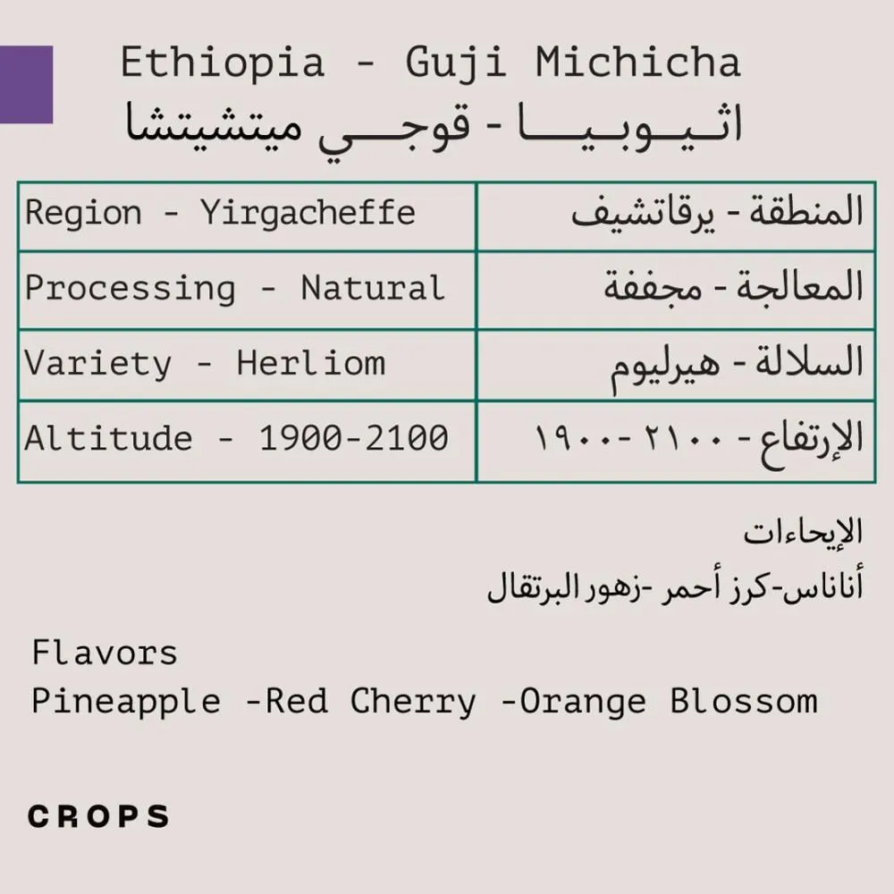 WhatsApp Image 2026-04-02 at 4.03.40 AM.webp