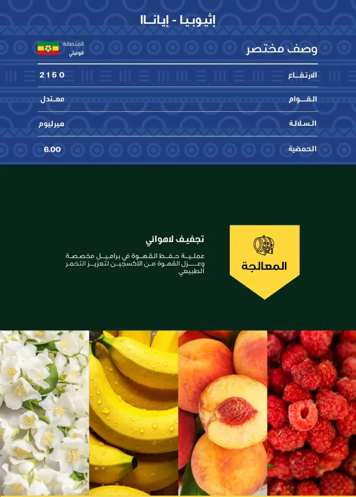 WhatsApp Image 2026-04-02 at 4.10.13 AM.webp