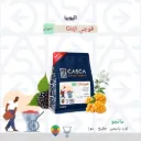 قوجي _ اثيوبيا _ معالجة مجففة لاهوائية